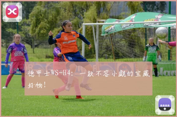 德甲士WS-H4：一款不容小觑的宝藏好物！