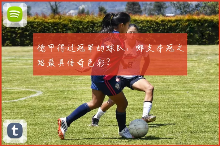 德甲得过冠军的球队，哪支夺冠之路最具传奇色彩？