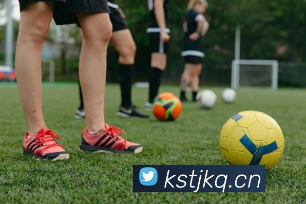 开云股份有限公司 - (中国大陆)Kaiyun·官方网站服务体系